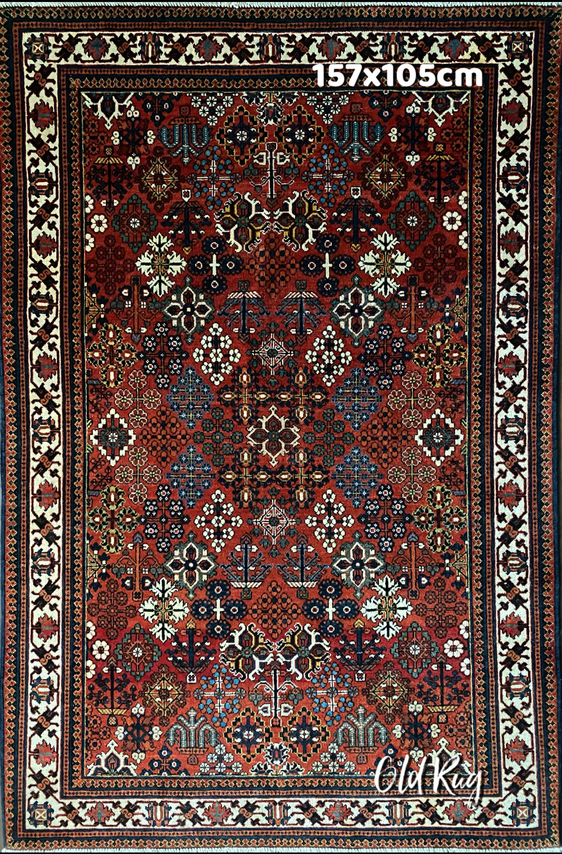 オールド サルーク産 ペルシャ絨毯 157×105cm - ラグ