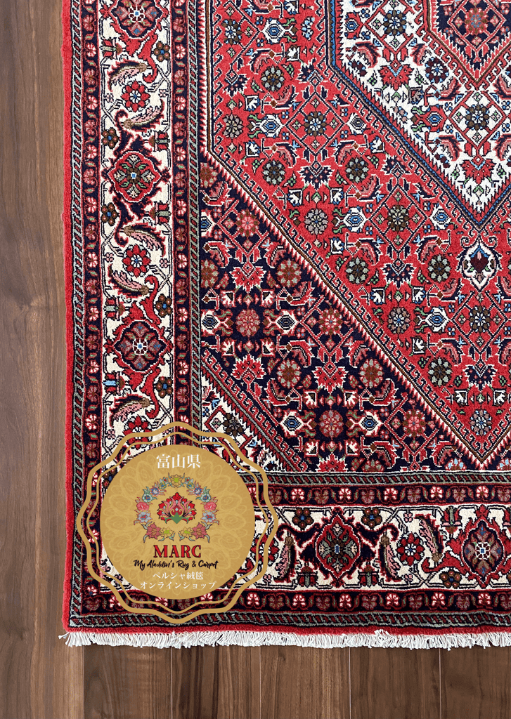 ビジャー/ザンジャン産 ペルシャ絨毯 215×141cm - ラグ